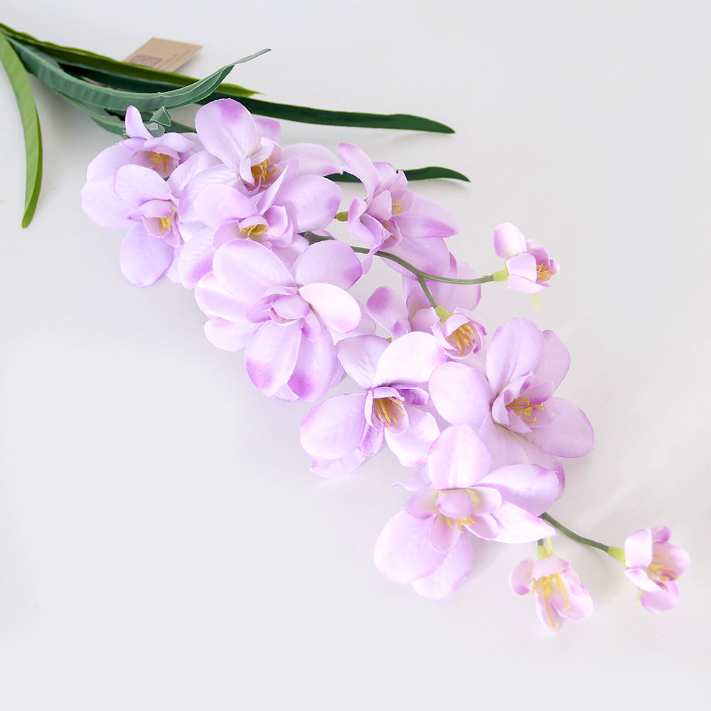 High Simulation 2-Fork Phalaenopsis Flower Real Touch Butterfly Orchid Decor Preserved Plants and Flowers for Mother's Day