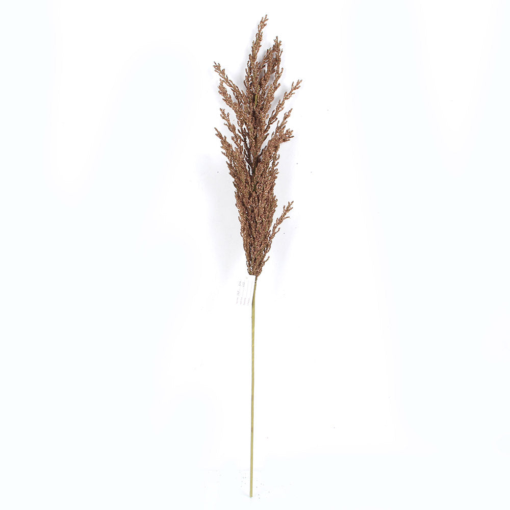 Natural Fluffy Beige Dry Pampas Grass Boho Wedding Decor Preserved Floral Spray Pampas Grass